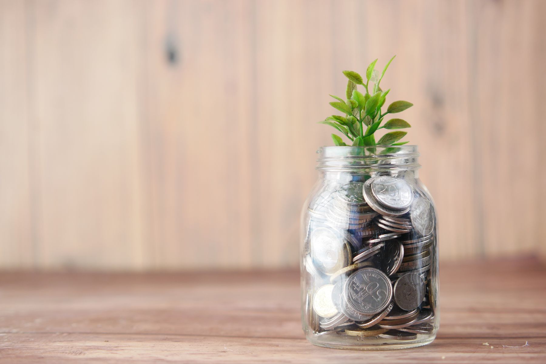 Coins in a glass jar with a young plant growing from them